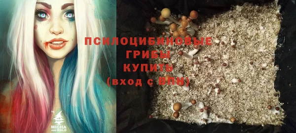 spice Балабаново