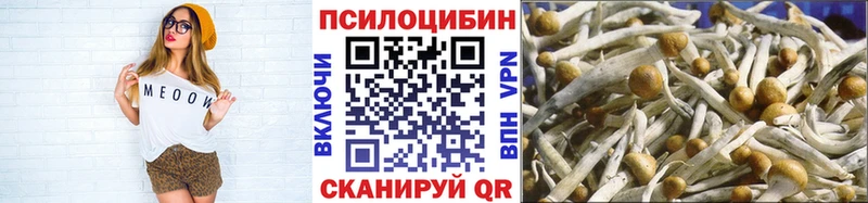 Псилоцибиновые грибы мицелий Игра