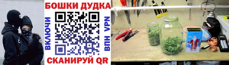 Марихуана OG Kush  KRAKEN tor  Игра  где купить  